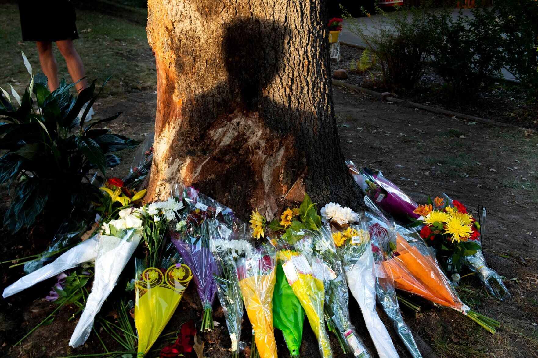 Top Journal Star Photos for October
